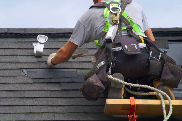 Best New Roof Installation  in Lexington, MI