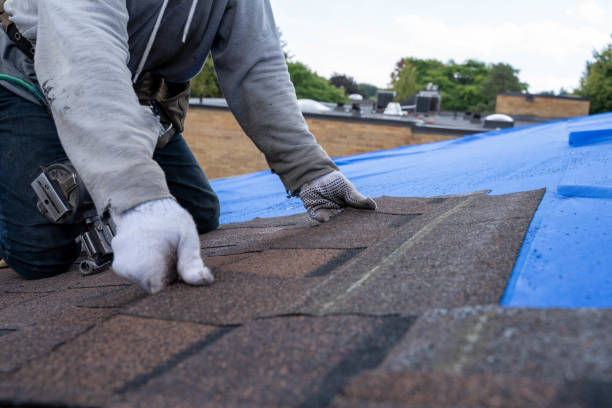 Best Storm Damage Roof Repair  in Lexington, MI