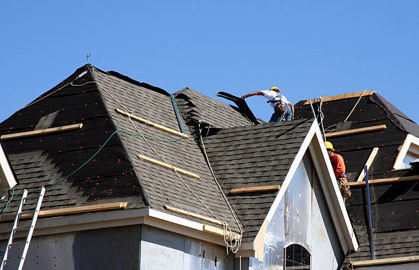 Best Shingle Roofing Installation  in Lexington, MI