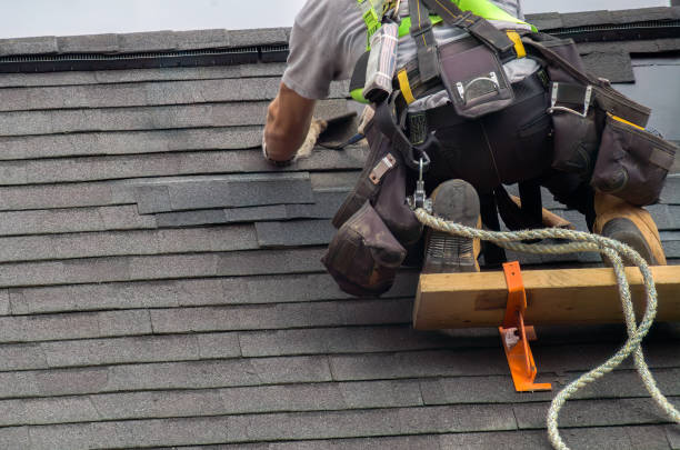 Best Roof Gutter Cleaning  in Lexington, MI