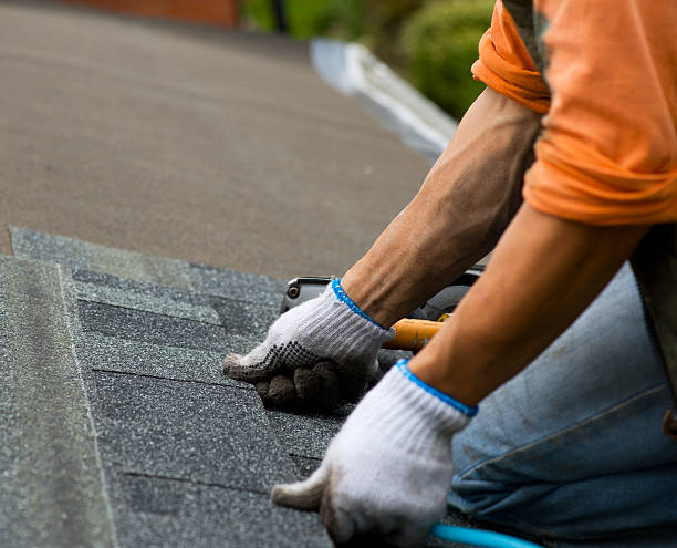 Best Best Roofing Contractors  in Lexington, MI